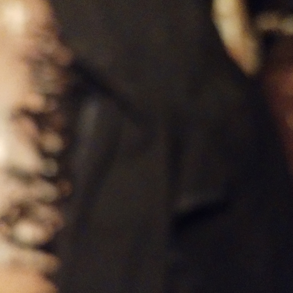 Black Western Chaps - image 2